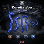 Corolla goa
