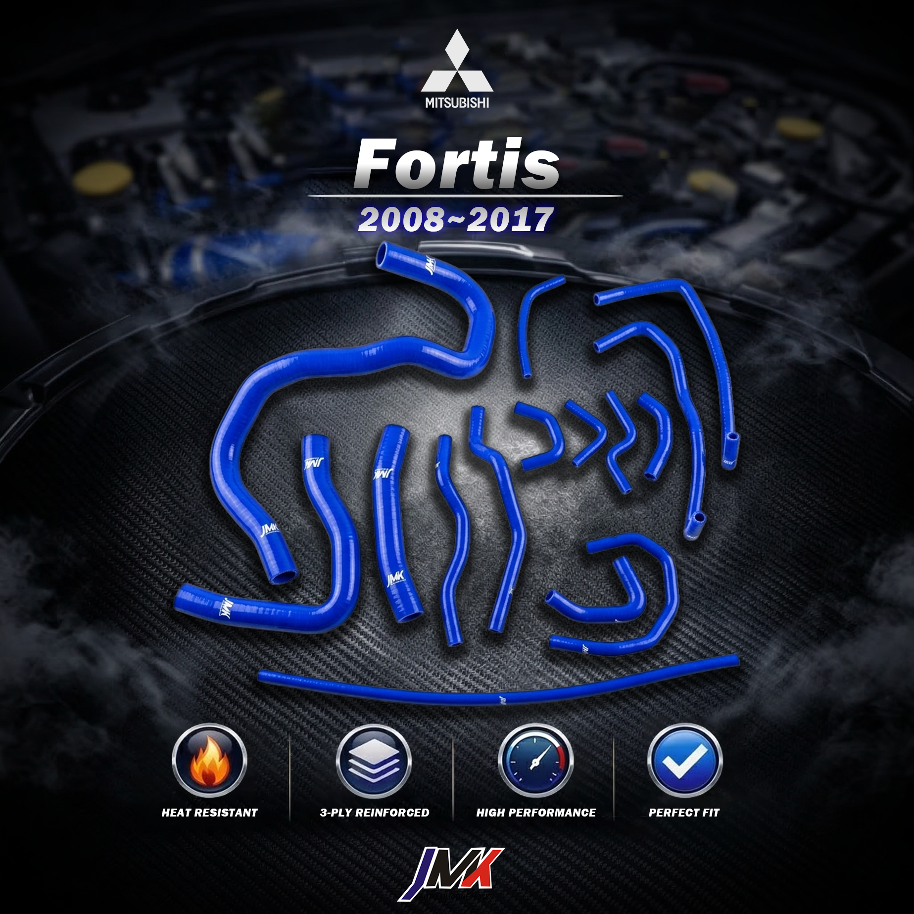 Fortis 2008-2017 Fortis 2008-2017:圖片 1